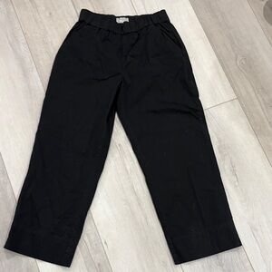 Everlane Black Dress Pants